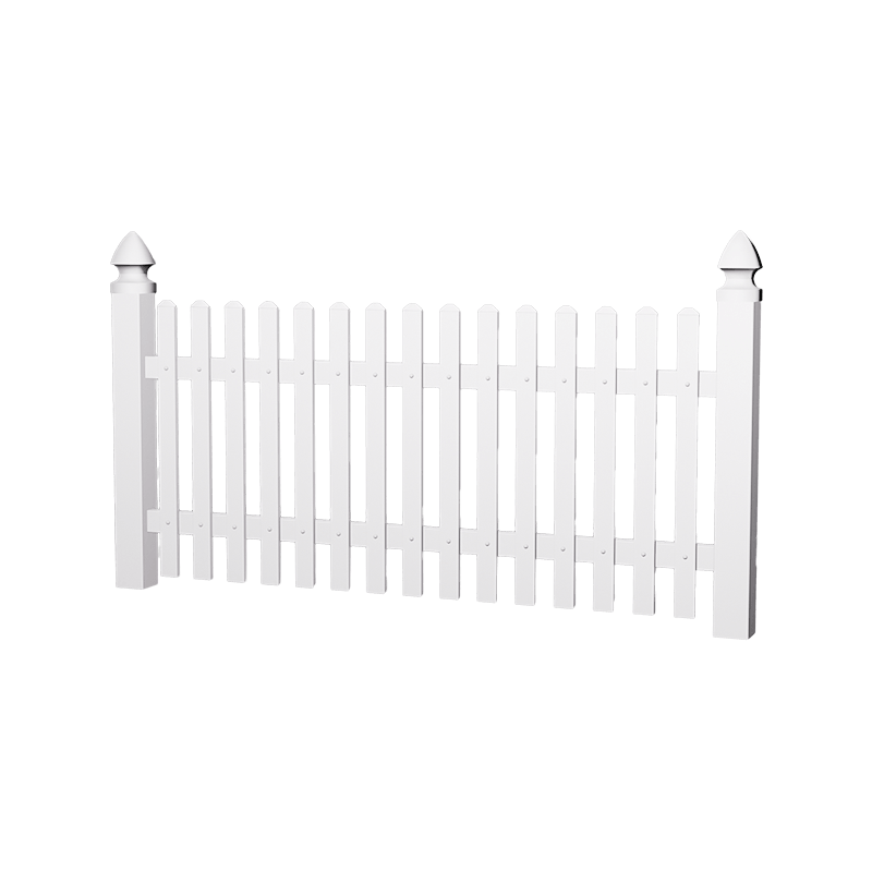 Piket telinga anjing tradisional hae1